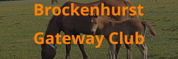 brockenhurst gateway club