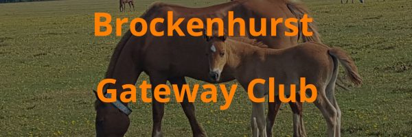 brockenhurst gateway club banner